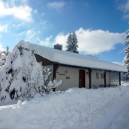 Zum Munteren Eichhoernchen By Interhome