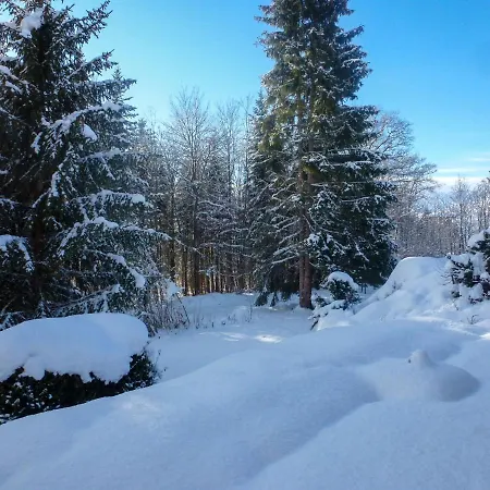 Zum Munteren Eichhoernchen By Interhome Holiday home *